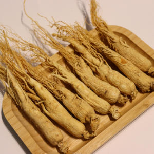 高品質の中国産高麗人参根、男性向け抗疲労免疫ブースター、サポニン豊富な原料 - Product Image 3