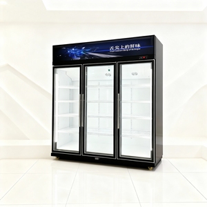 Réfrigérateur vertical pour épicerie, refroidisseur de boissons pour supermarché, réfrigérateur commercial avec porte vitrée, commande LED - Product Image 2