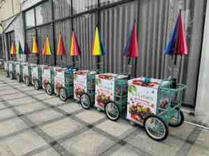 Chariot <span class=keywords><strong>de</strong></span> nourriture mobile poussé à la main pour la crème glacée et les sucettes glacées Chariot <span class=keywords><strong>de</strong></span> poussée réfrigéré <span class=keywords><strong>de</strong></span> style décrochage avec système <span class=keywords><strong>de</strong></span> pompe à <span class=keywords><strong>eau</strong></span> - Product Image 4