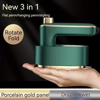 Fer à vapeur professionnel 110V/220V, mini défroisseur portatif pour vêtements, idéal pour la maison et les voyages