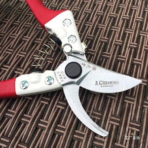 Taiwan Made Bypass <b>Pruner</b> Carbon Steel 20-30 Mm For Tree Flower Fruit Gardening - Product Image 3