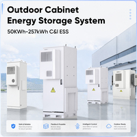 DAH OEM 특가 판매 215kWh 1255mm A급 LFP 셀 야외용 ESS -20~55C 범위 LiFePO4 공랭식 캐비닛