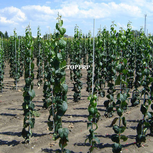 Heavy-Duty Fiberglass <b>Garden</b> Stakes FRP Climbing Plant Supports Rod Glass Fiber <b>Pole</b> - Product Image 6