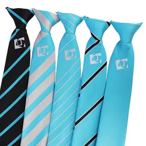 O ODM do OEM personalizou o logotipo colorido impresso tecido listrado escola gravata grampo-em gravatas para homens