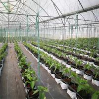 Vente en gros d'accessoires pour serres agricoles en PVC ZEWKO, système hydroponique NFT, système de plantation verticale intérieur, stable