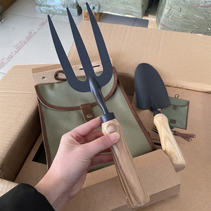 Juego de dos piezas de jardinería de moda de caja de cartón con cabeza de acero al carbono con mango de madera herramientas manuales de plantación de jardín de embalaje - Product Image 4