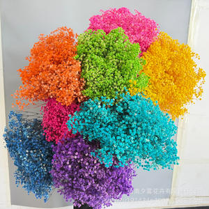 Flores Preservadas de Gypsophila Branca Secas 60cm de Altura para Artesanato DIY, Ação de Graças, Dia dos Namorados, Formatura, Dia das Mães - Product Image 3