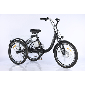<span class=keywords><strong>Tricycle</strong></span> électrique à cadre en aluminium de 24 pouces 350W, trike cargo <span class=keywords><strong>pour</strong></span> adultes avec frein à disque et panier avant, trike électrique - Product Image 2