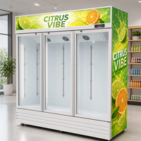 Réfrigérateur commercial vertical économique pour boissons, vitrine réfrigérée à refroidissement direct, porte vitrée, contrôle LED, verrouillage de porte