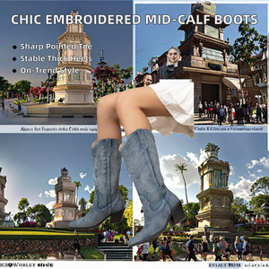 Botas de Media Caña con Punta en Pico y Tacón Grueso Bordado, Cierre de Cremallera y Suela de Goma para Mujer, Moda Otoño - Product Image 2