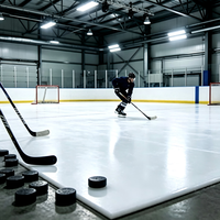 Dalles de glace synthétique à friction réglable pour l'entraînement personnalisé à la résistance et au renforcement musculaire sur glace artificielle