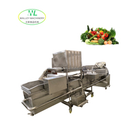 Industriële roestvrijstalen groentewasmachine voor fruit, met after-sales ondersteuning voor de verwerking van erwten, maïs en wortels, van Chinese fabriek.
