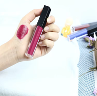 Gloss à lèvres liquide mat longue tenue, waterproof, cruelty-free, haute pigmentation, 49 couleurs, fournisseur de gloss à lèvres avec étiquette privée personnalisée