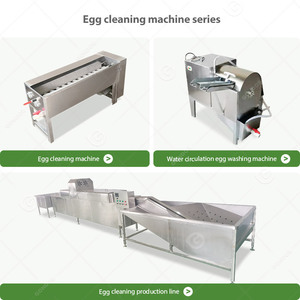 Pequeña máquina automática limpiadora de cepillos, equipo mini lavador de conchas, máquina para limpiar y clasificar huevos - Product Image 6