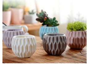 Cute Small <strong>Ball</strong> Shaped Blue White <strong>Clay</strong> Pots for Plants Indoor Indoor Succulent Plant Pot Planters - Product Image 6