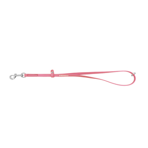 Laisse en boucle en PVC imperméable <span class=keywords><strong>pour</strong></span> toilettage de chiens et chats, accessoires <span class=keywords><strong>pour</strong></span> tables de toilettage, OEM - Product Image 4