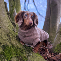 Vêtements pour animaux de compagnie OEM/ODM VPETBR, hiver/été, classiques, couleur unie, imperméables, écologiques, doublure en polaire, veste en coton, patchwork