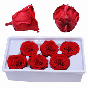 Cabezas de Rosa al por Mayor, Cabezas de Rosa Eternas <span class=keywords><strong>Estabilizadas</strong></span>, Flores de Rosa Preservadas para Decoración DIY - Product Image 4