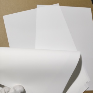 Película Seca Médica Blanca para Impresión de Imágenes de Diagnóstico por Ultrasonido; Película de Rayos X; Imágenes de Diagnóstico Nítidas; Base de PET Impermeable - Product Image 3