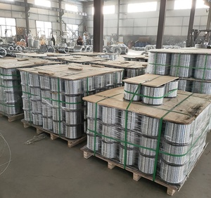 <span class=keywords><strong>Bobine</strong></span> <span class=keywords><strong>de</strong></span> <span class=keywords><strong>fil</strong></span> en acier inoxydable galvanisé à chaud, vente directe usine Chine, pour usage industriel dans la construction, le bâtiment et la sécurité - Product Image 1