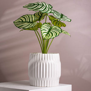 Pot de fleurs blanches pour jardin, 1 pièce, art pour jardinage d'intérieur, gravure bon marché, vente en gros - Product Image 1