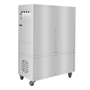 Generatore di Ossigeno Industriale ad Alta Pressione Originale, Concentratore di Ossigeno 10l in Offerta - Product Image 6