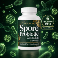 Capsules Probiotiques Mega Spore OEM/ODM, 60 Comprimés, Confort Intestinal, Santé Digestive, Soutien Digestif pour Adultes, Hommes et Femmes