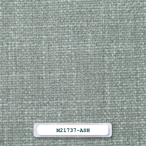 M21737-ASH
