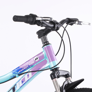 Vélo de montagne personnalisé de 20 pouces avec 21 vitesses, système de frein à disque, matériau en acier au carbone, vente en gros - Product Image 4