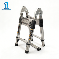Échelle télescopique en acier inoxydable 2,5+2,5 mètres, pliable, multifonctionnelle, épaissie, renforcée, antidérapante