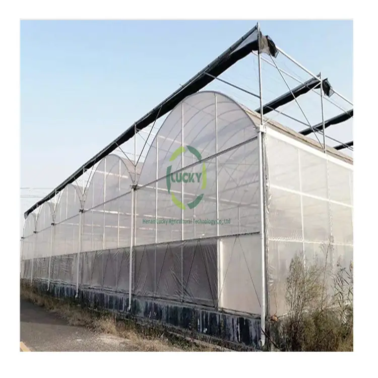 Goedkope Metalen Frame Multi-Span Tomaat Groente Tunnel Folie Tunnels Poly Landbouw Commerciële Kas