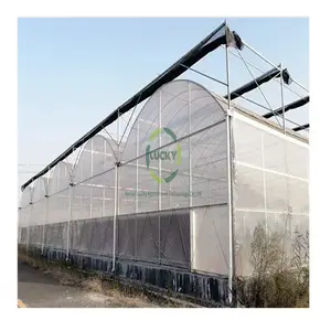 Invernadero de aluminio para el invierno, túnel de plástico para agricultura, varios usos, para tomate y verduras, precio de Pc, comercial, China