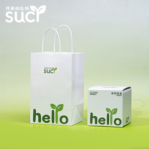 Coffret/sac cadeau miniature de paysage en miniature avec mousse de pelouse, un ornement créatif en forme de plante verte, un coffret cadeau à offrir à des amis. - Product Image 1