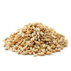 Grains d'orge dorée naturelle de qualité supérieure 100 % propres, qualité alimentaire, durée de conservation de 24 mois, fournisseur en gros - Product Image 1