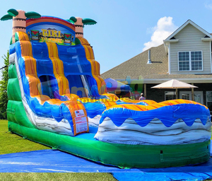 Castilos Perosotan Ganda Dapat Ditiup Juegos Dapat Ditiup untuk Memanjat Memanjat Slide Jumping Castle - Product Image 6