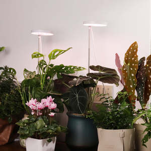 J&Cプランターランプ グロウ 10W 3500K LED植物育成ライト プランターメイト フルスペクトルライト 苗用育成ライト 室内植物用 - Product Image 2