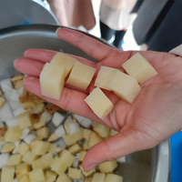Hoge capaciteit centrifugale groente- en fruit snijmachine voor catering, voedingsfabrieken, aardappel, wortel, appel, blokjes snijden