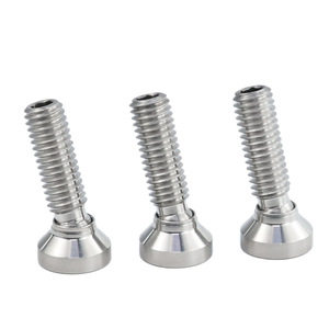 Eight Directions Stainless Steel <b>Screws</b> M6x20mm Hex Socket Head Cone Point Precision Machining Parts - Product Image 1