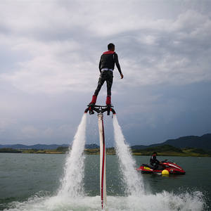 <span class=keywords><strong>Flyboard</strong></span> de fibra de carbono, <span class=keywords><strong>venta</strong></span> directa de fábrica China Flit - Product Image 5