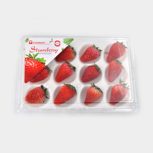 Manufacture Supply rectangle blister 12 strawberry plastic fruit box