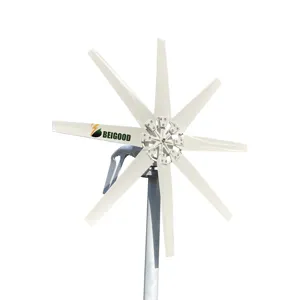 Goedkope Schone Energie Fabrikant 1kw 12V 24V 48V Horizontale Windturbine Generator Voor Thuisgebruik