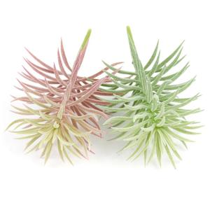 Planta Artificial Realista con Puntas en Degradado <span class=keywords><strong>de</strong></span> Verde a Oro Rosa <span class=keywords><strong>para</strong></span> Arreglos Decorativos y Decoración del Hogar - Product Image 6