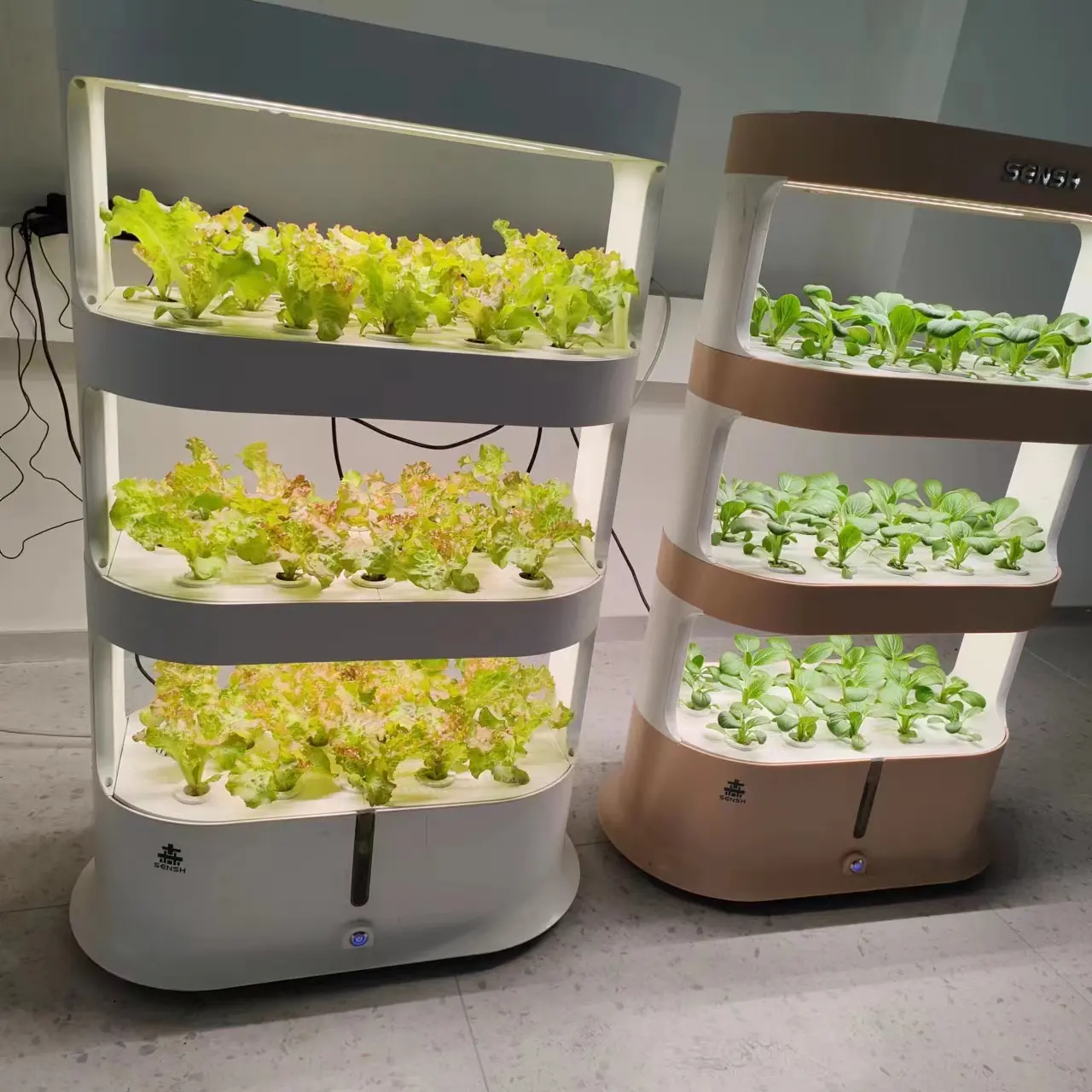 Indoor Vertical Hydroponic Cultivator Planting System For soilless cultivation