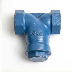 Válvula de Filtración de Tuberías de Hierro Fundido Industrial Tipo Y Clase 150 con Brida RF y Rosca BSP - Product Image 2