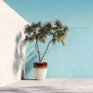 Essential <strong>Large</strong> Glazed Ceramic Garden Flower <strong>Pots</strong> - Product Image 1