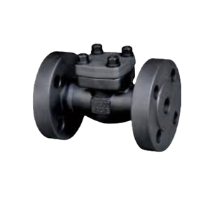 Pas cher/Bw/acier forgé/<span class=keywords><strong>eau</strong></span>/4 pouces/unidirectionnel/EPDM/Pn16/sanitaire en acier inoxydable/servofrein/<span class=keywords><strong>clapet</strong></span> <span class=keywords><strong>anti</strong></span>-<span class=keywords><strong>retour</strong></span> pivotant - Product Image 1