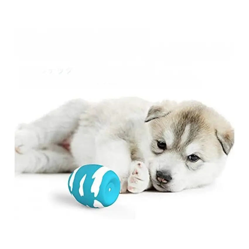 犬のきしむおもちゃ、子犬の小さなペットの犬のためのきしむ音が付いている6 PCSラテックス弾む卵のボール、インタラクティブのための柔らかいゴムの音のおもちゃ