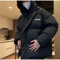 Vestes en duvet classiques et simples pour hommes - style décontracté, polyvalent, rétro, tendance, en stock, prêtes à être expédiées