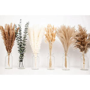 Decoración de Boda Hecha a Mano, Eucalipto Preservado, Combinación de Hierba de Pampas Seca, Hierba de Cola de Conejo, para el Día de la Madre, Navidad - Product Image 4