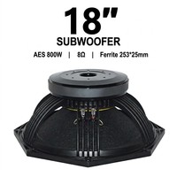 Haut-parleur de basses professionnel de 18 pouces, 800 W RMS, 8 ohms, avec bobine vocale de 100 mm et boîtier métallique, pour système de sonorisation de scène